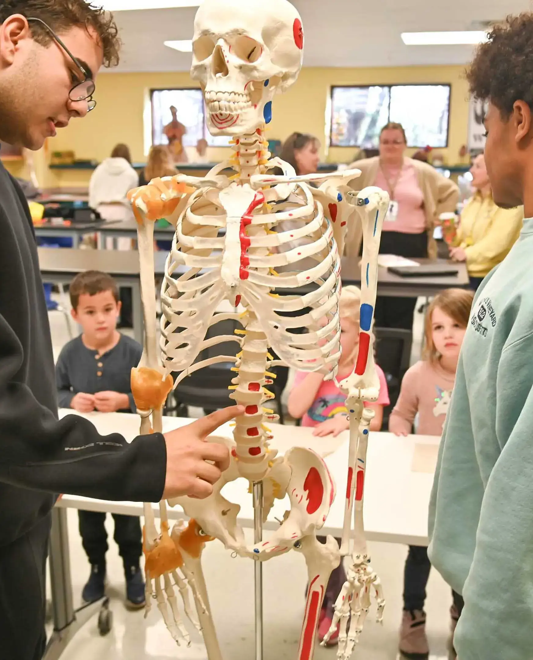 Upper school students teach younger students about the human skeleton in the biology lab